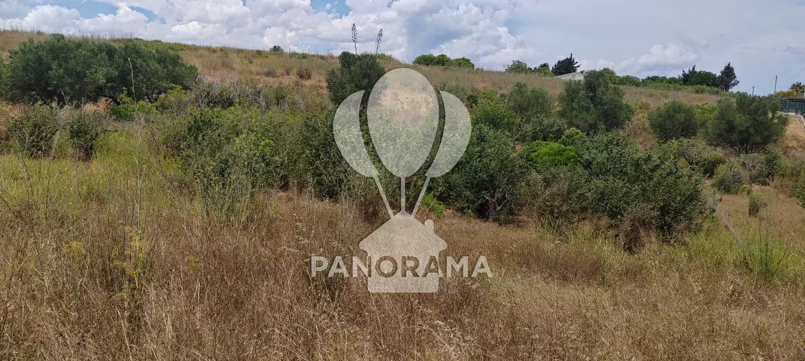 Foto annuncio 12