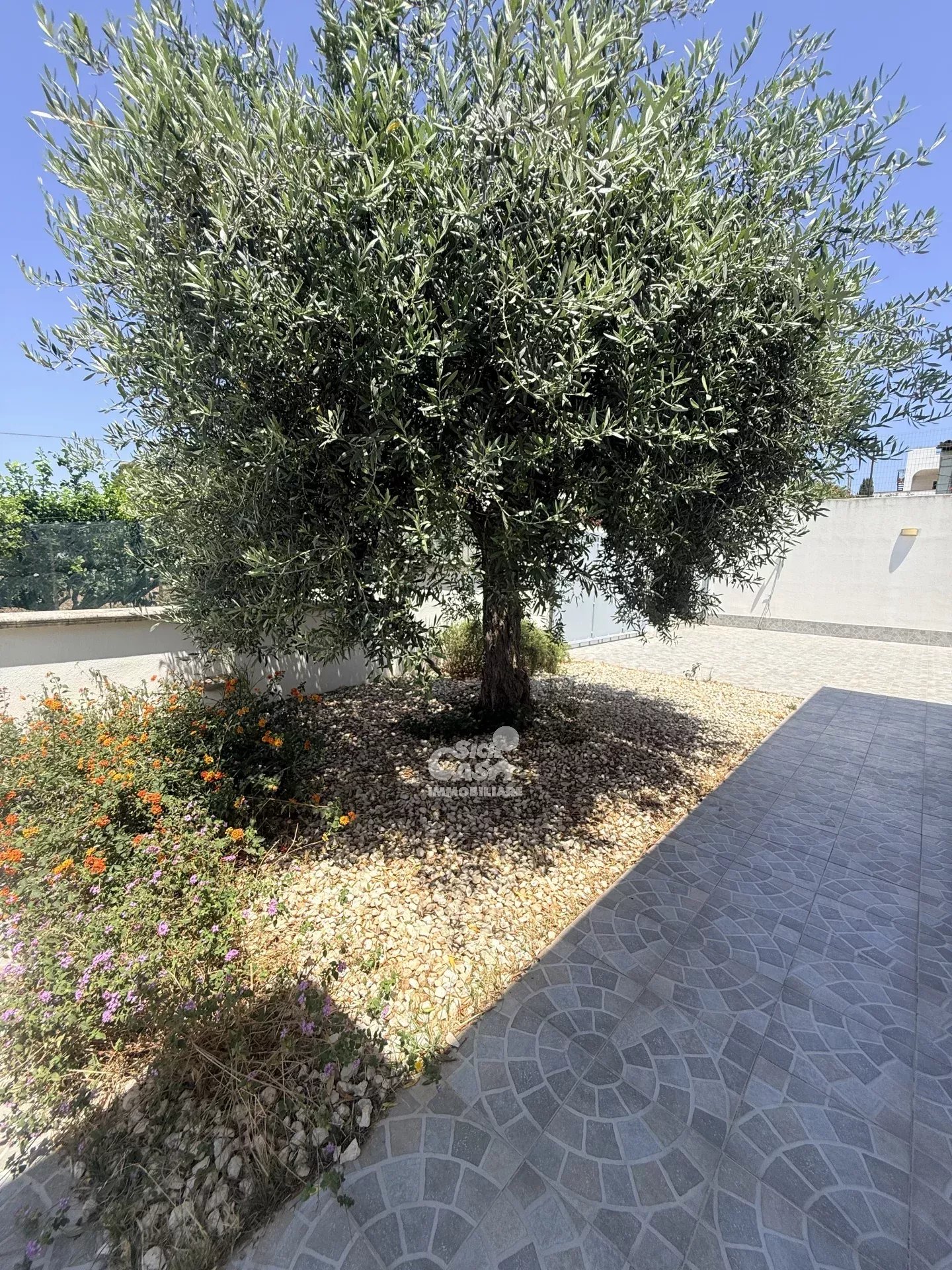 Foto annuncio 40