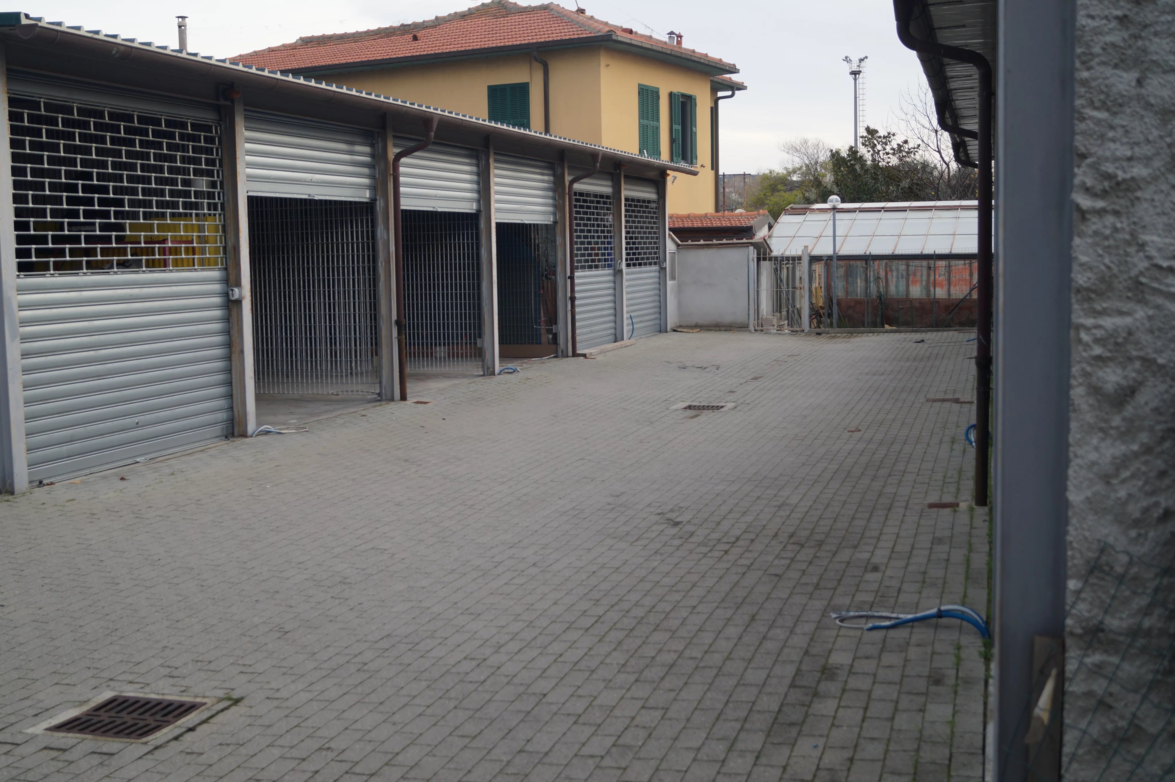Foto annuncio 5
