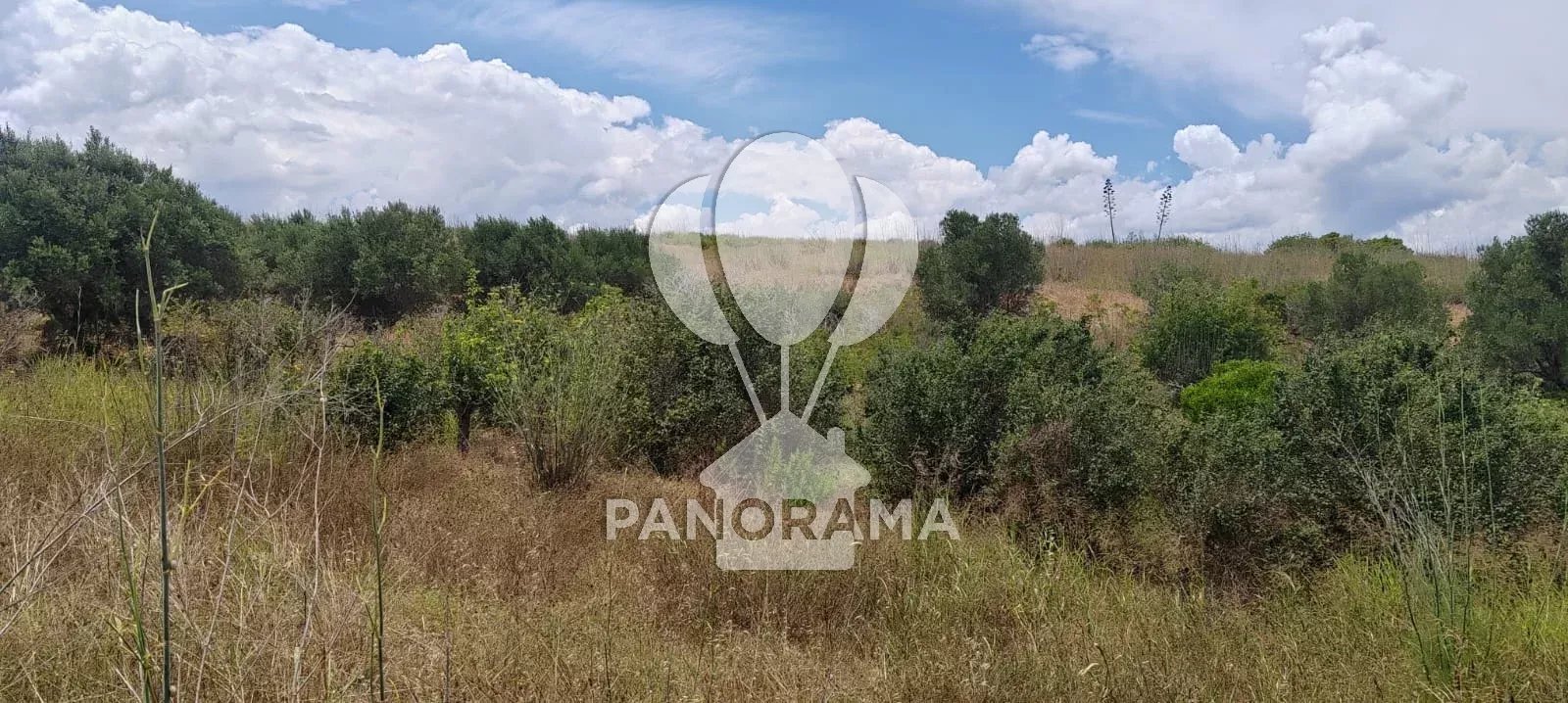 Foto annuncio 7