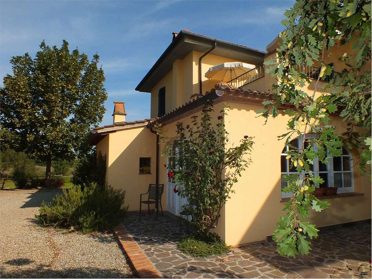 Immagine 5 di Villa in vendita  a Fauglia