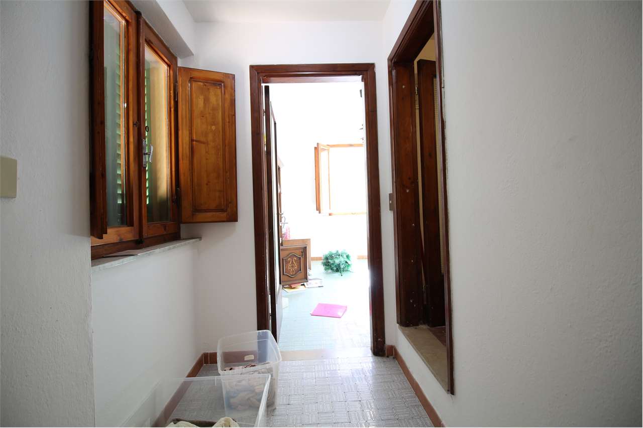 Foto annuncio 19