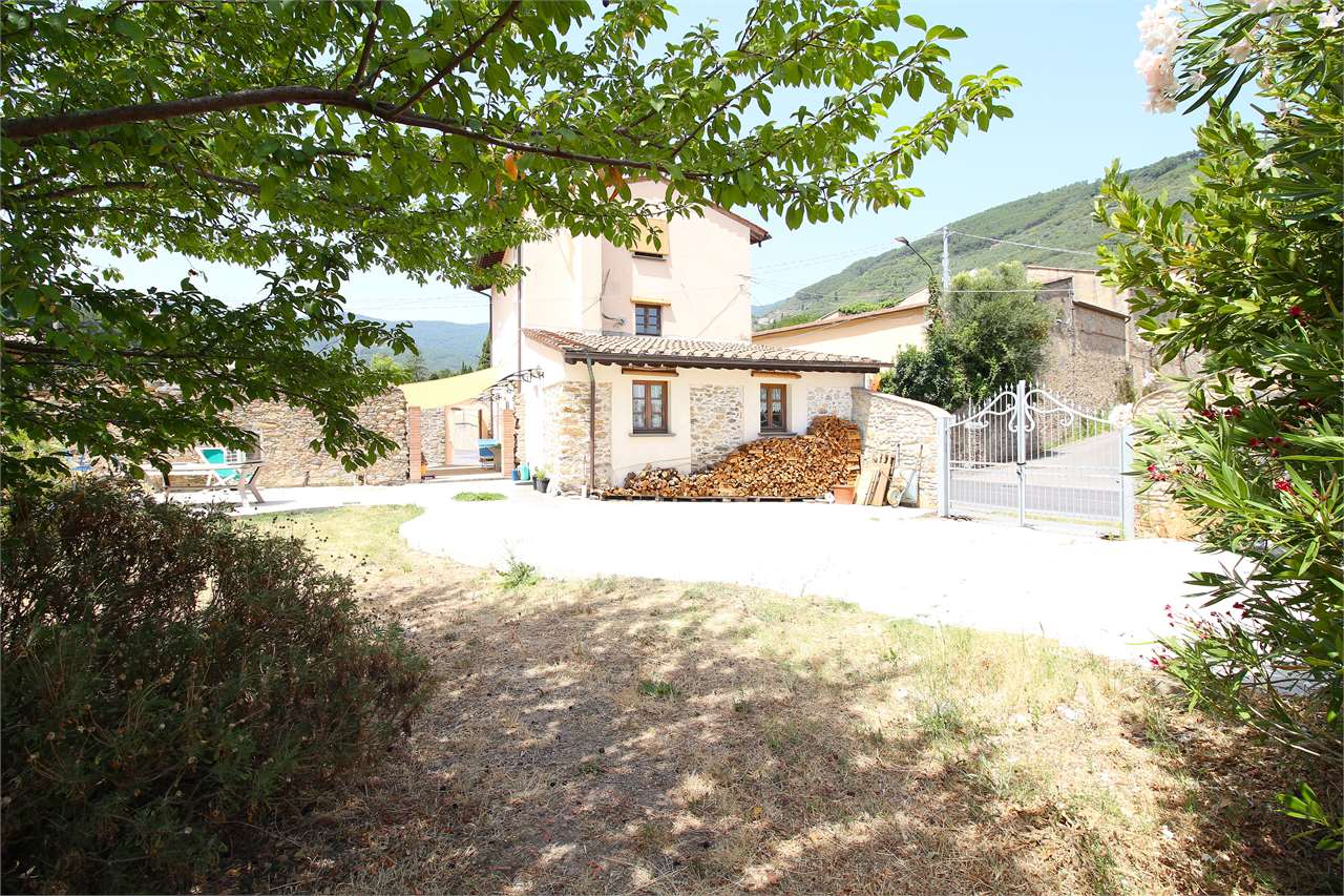 Foto annuncio 6