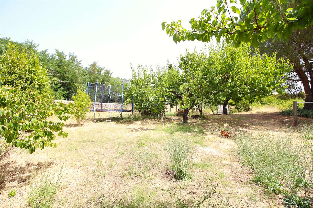 Foto annuncio 11