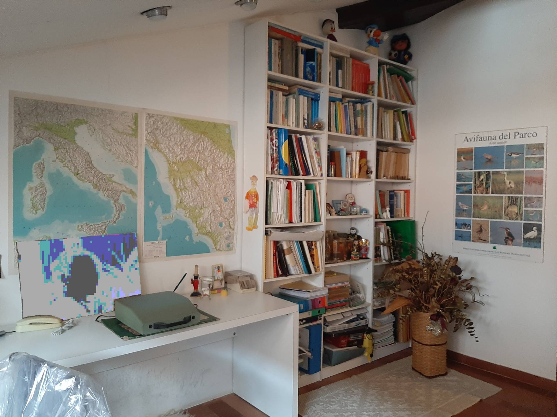 Immagine 31 di Villa in vendita  a Pisa