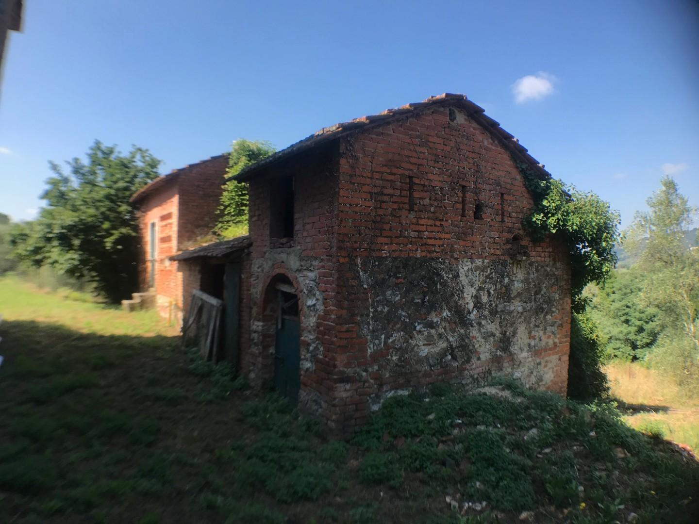 Foto annuncio 7