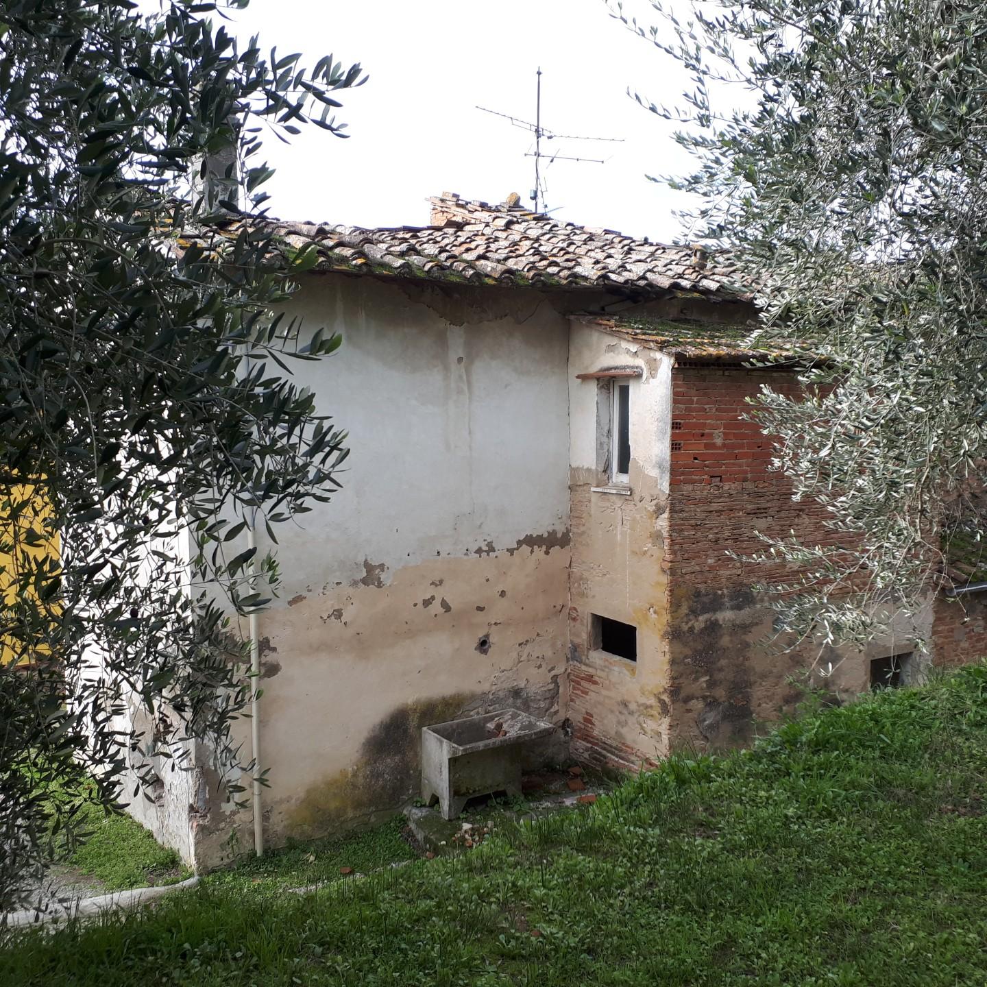 Foto annuncio 7