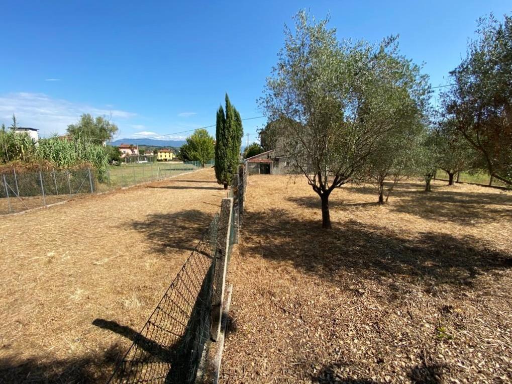 Immagine 48 di Rustico / casale in vendita  a Capannori