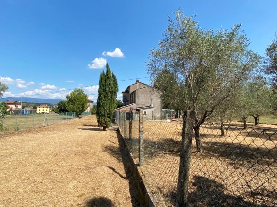 Immagine 46 di Rustico / casale in vendita  a Capannori