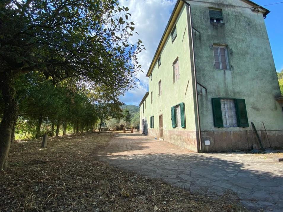 Immagine 4 di Rustico / casale in vendita  a Capannori