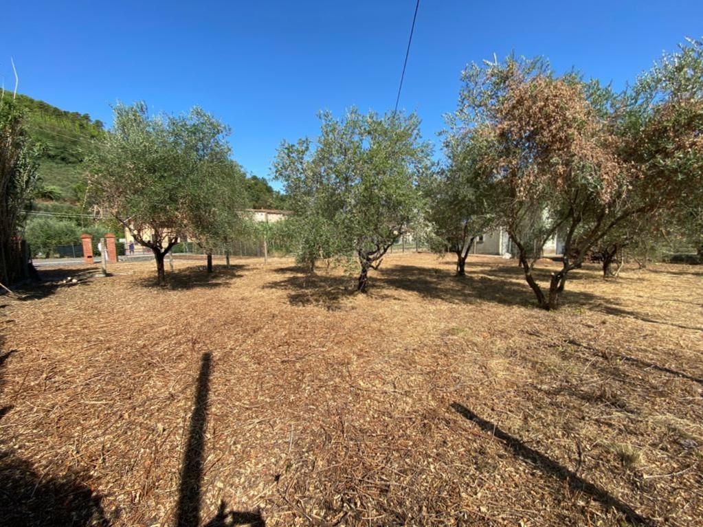 Immagine 49 di Rustico / casale in vendita  a Capannori