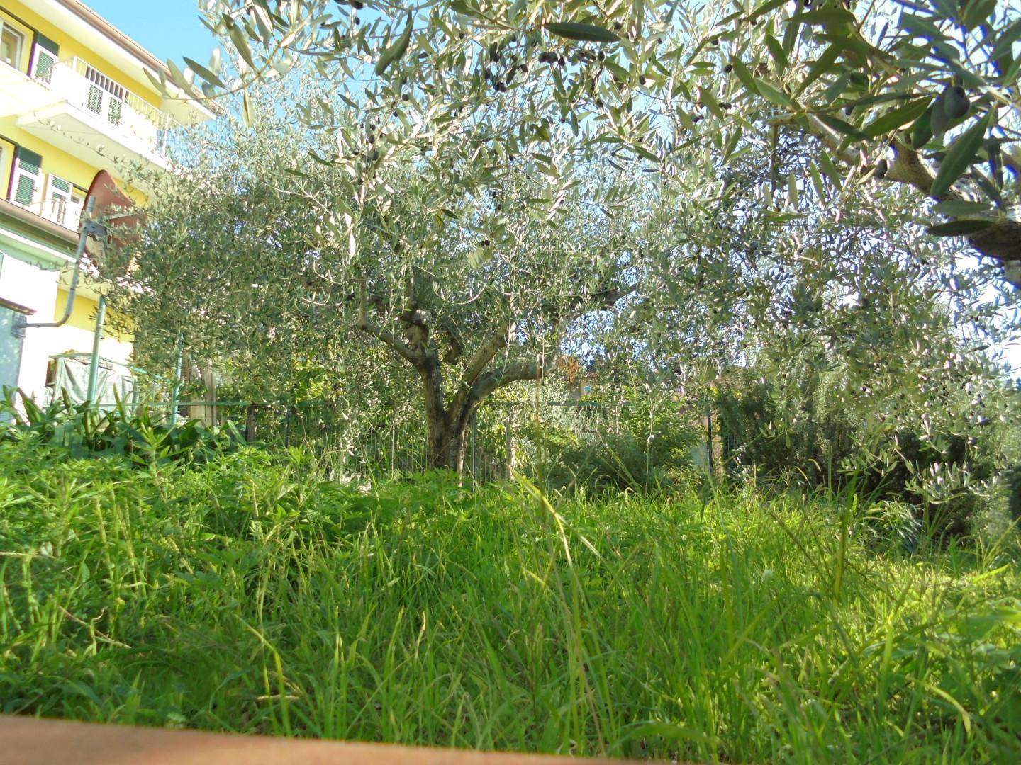 Immagine 41 di Appartamento in vendita  a Massa