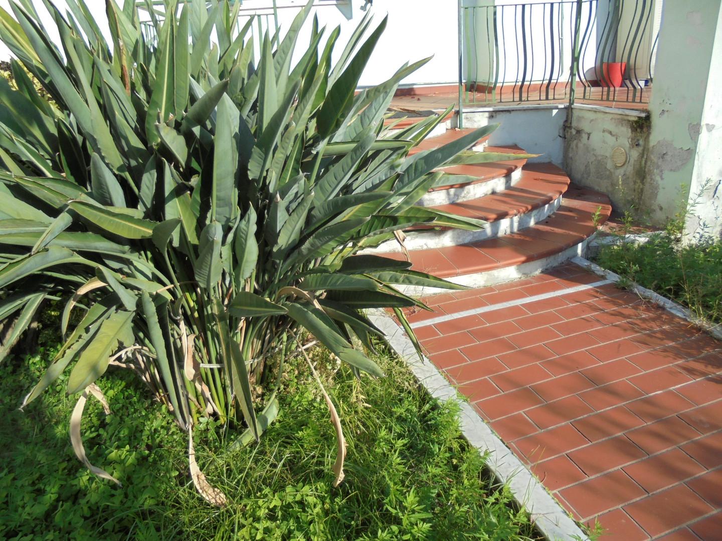 Immagine 35 di Appartamento in vendita  a Massa