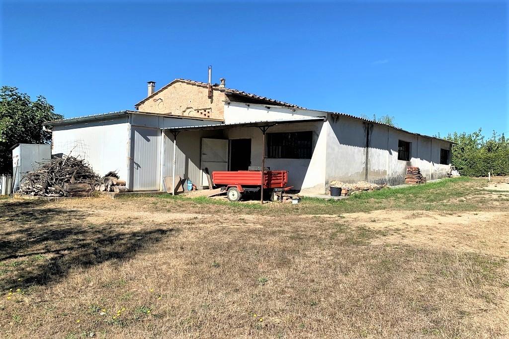 Foto annuncio 2