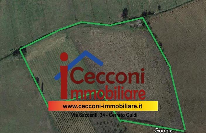 Immagine 1 di Terreno agricolo in vendita  a Vinci