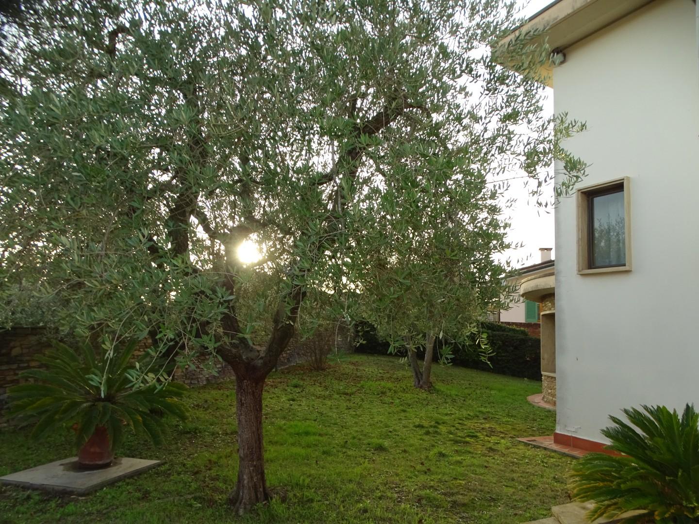 Immagine 3 di Villa in vendita  a San Miniato