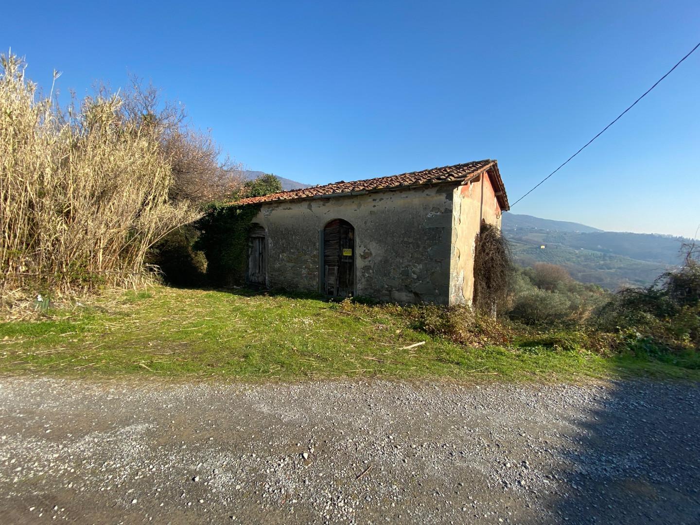 Foto annuncio 4