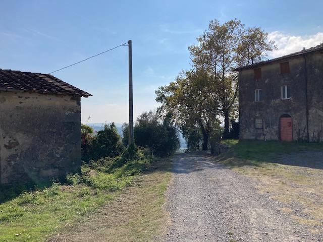 Foto annuncio 5