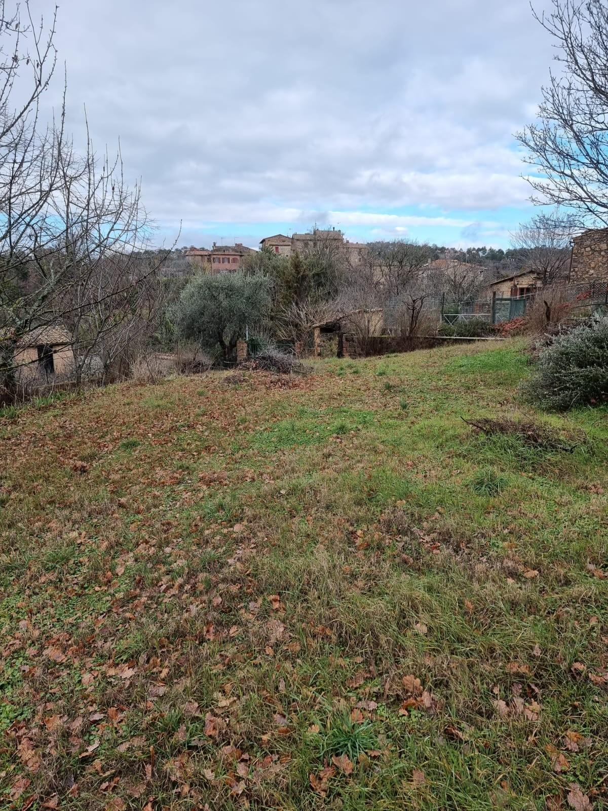 Foto annuncio 9