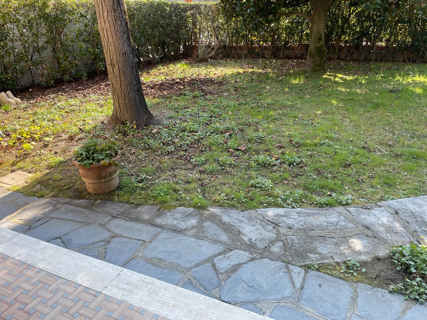 Immagine 16 di Appartamento in affitto  a Montignoso