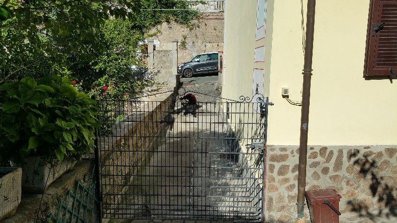 Immagine 10 di Casa semindipendente in vendita  a La Spezia