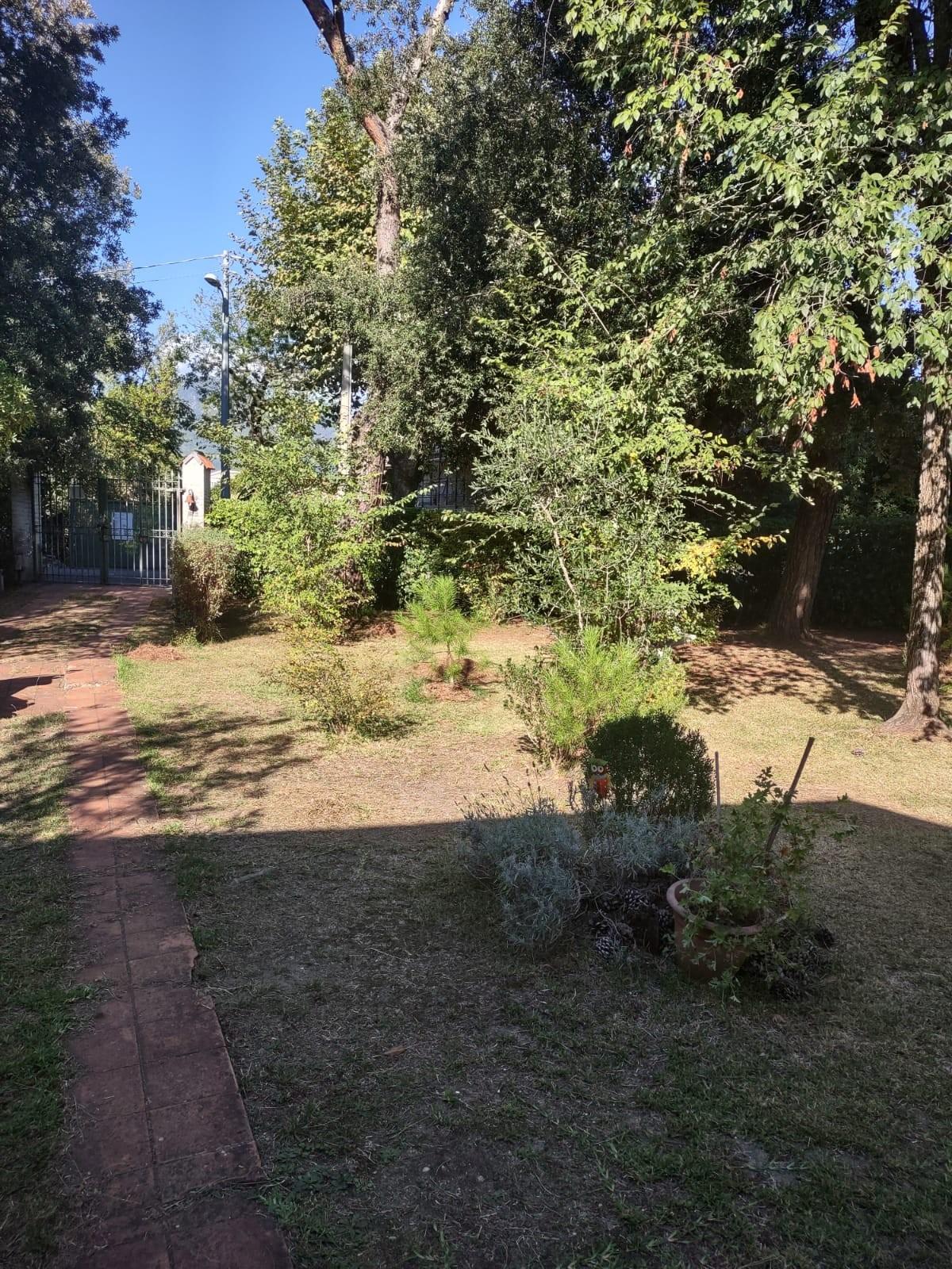 Immagine 2 di Casa indipendente in vendita  a Massa