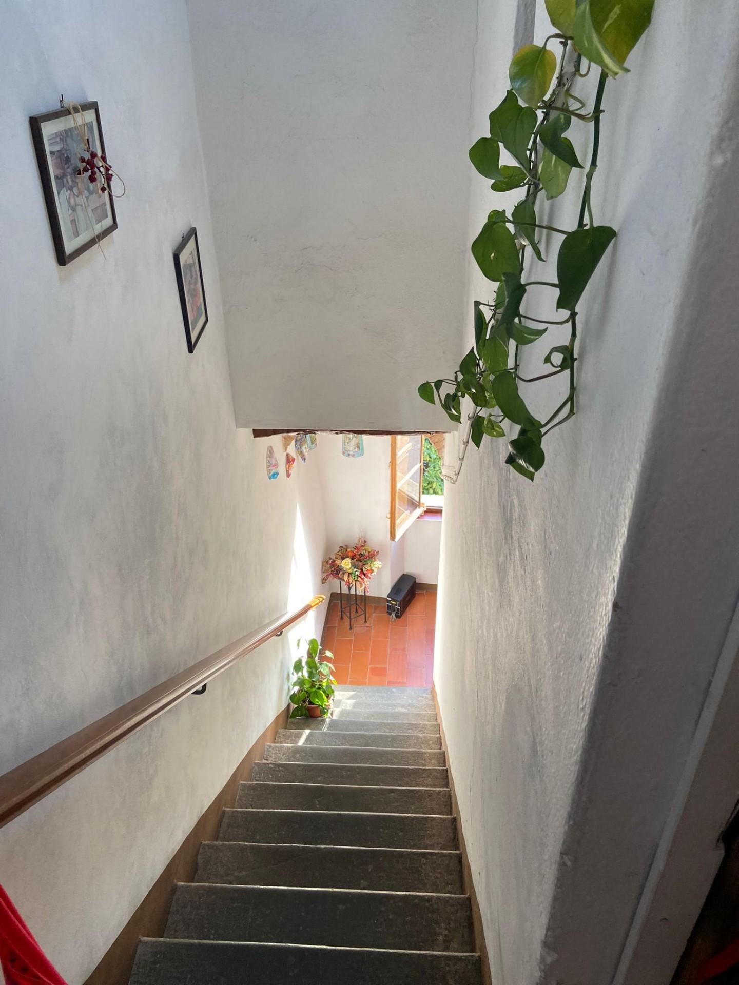 Immagine 32 di Palazzo in vendita  a Calci