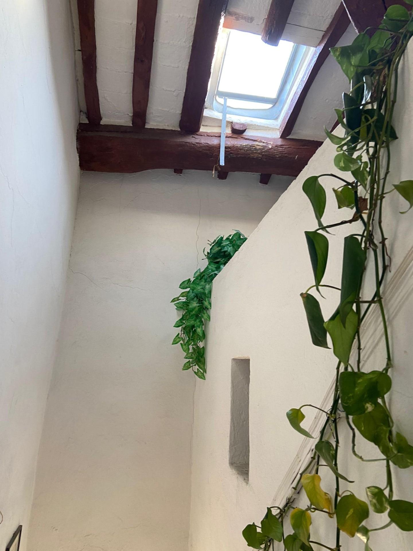 Immagine 33 di Palazzo in vendita  a Calci