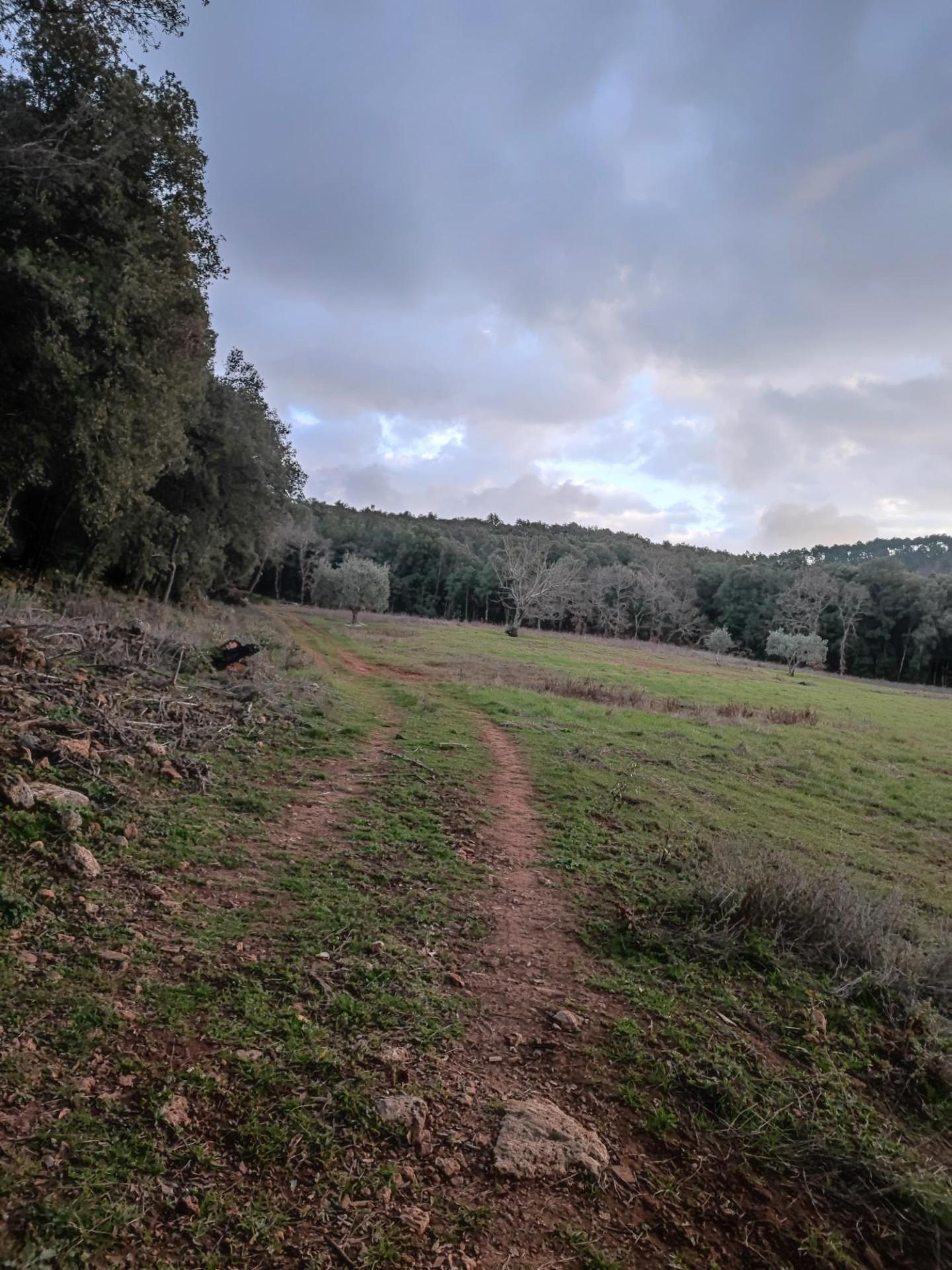 Immagine 4 di Rustico / casale in vendita  a Colle Di Val D'elsa