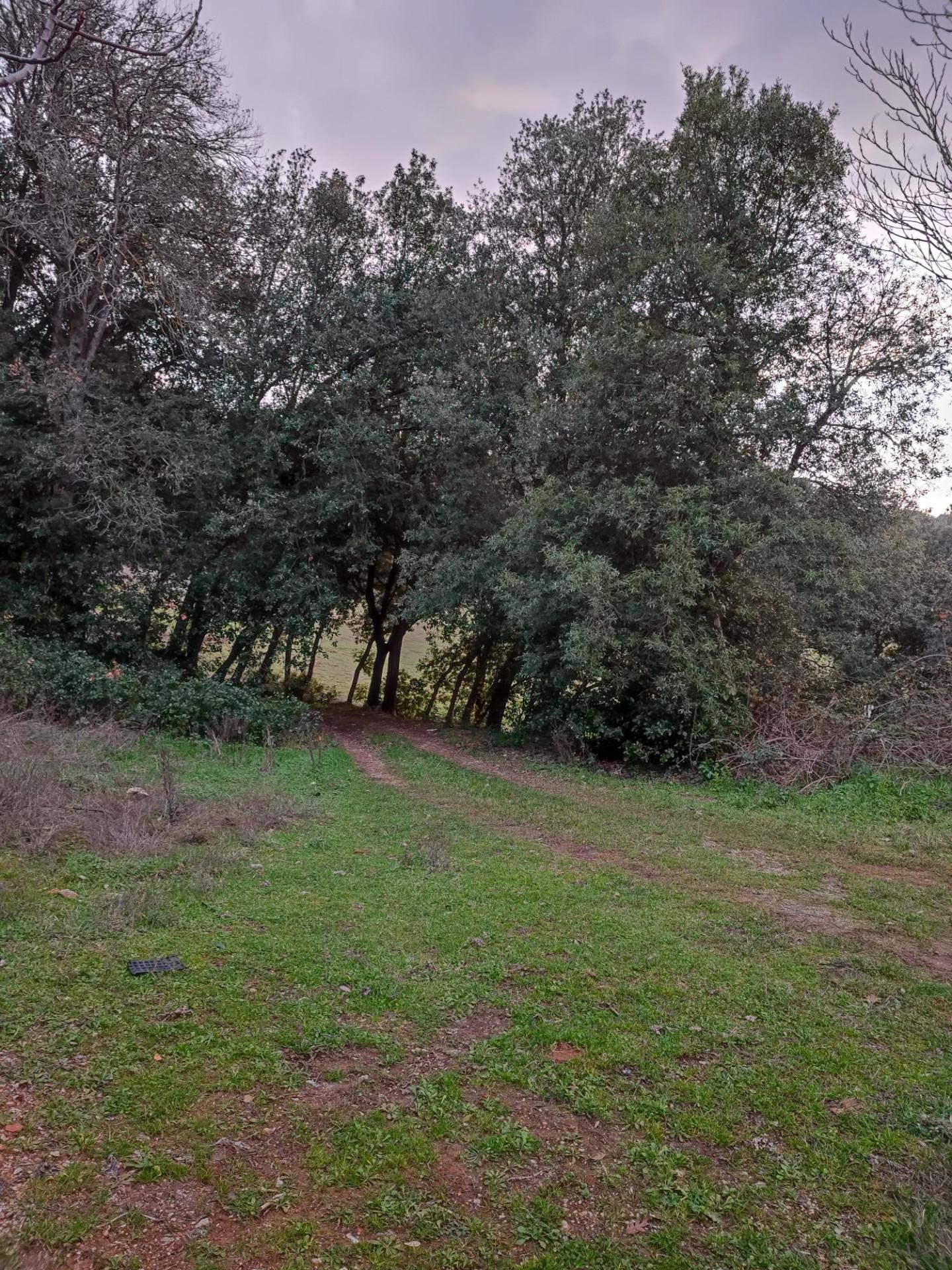 Immagine 5 di Rustico / casale in vendita  a Colle Di Val D'elsa