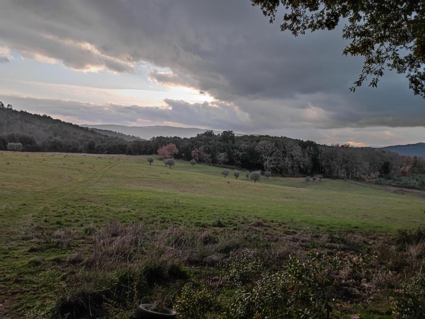 Immagine 11 di Rustico / casale in vendita  a Colle Di Val D'elsa