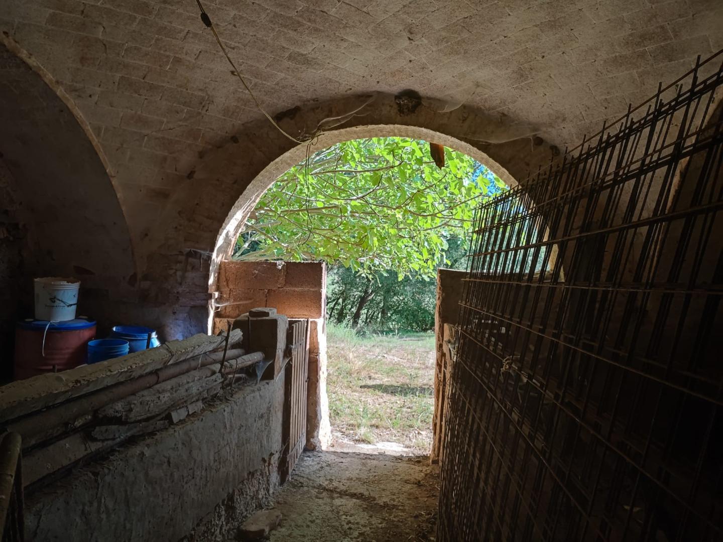 Immagine 12 di Rustico / casale in vendita  a Colle Di Val D'elsa