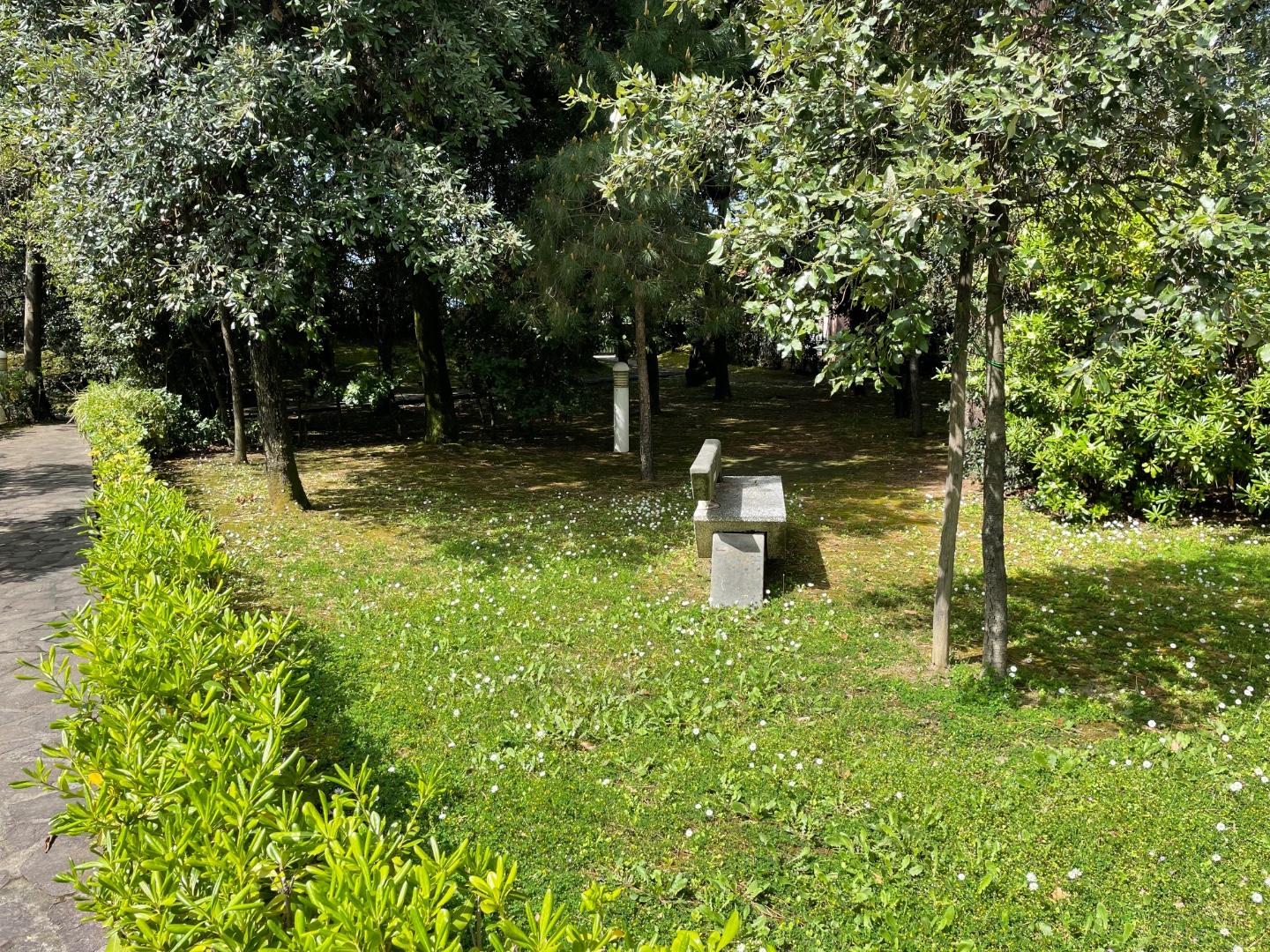 Immagine 23 di Villetta a schiera in vendita  a Massa