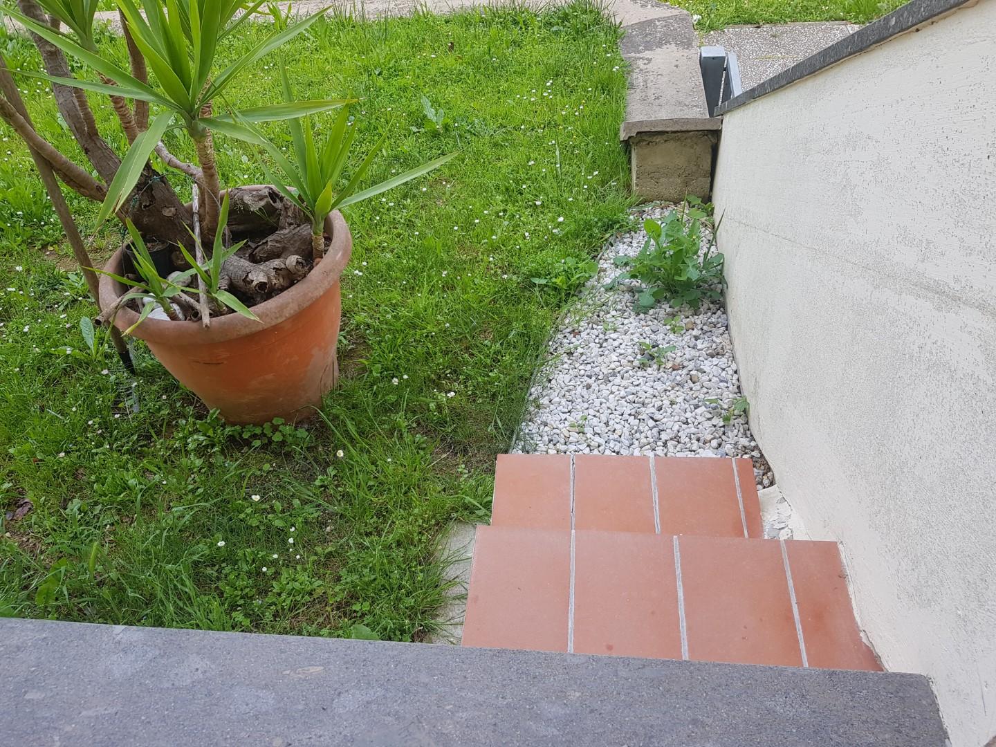 Immagine 6 di Appartamento in vendita  a Bientina