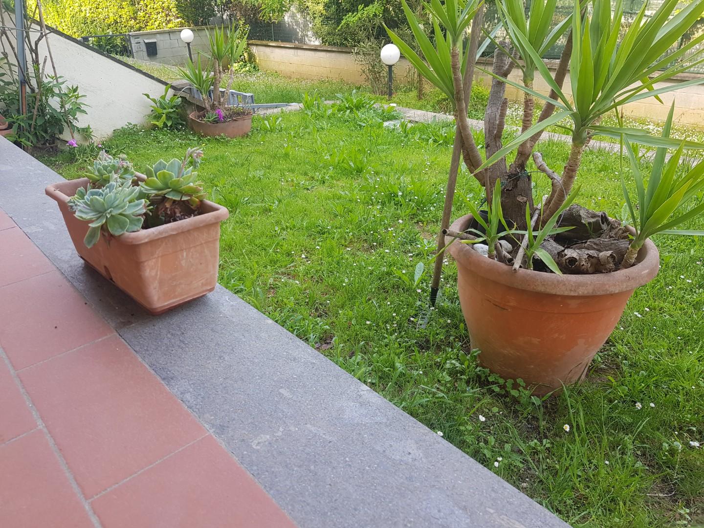 Immagine 5 di Appartamento in vendita  a Bientina