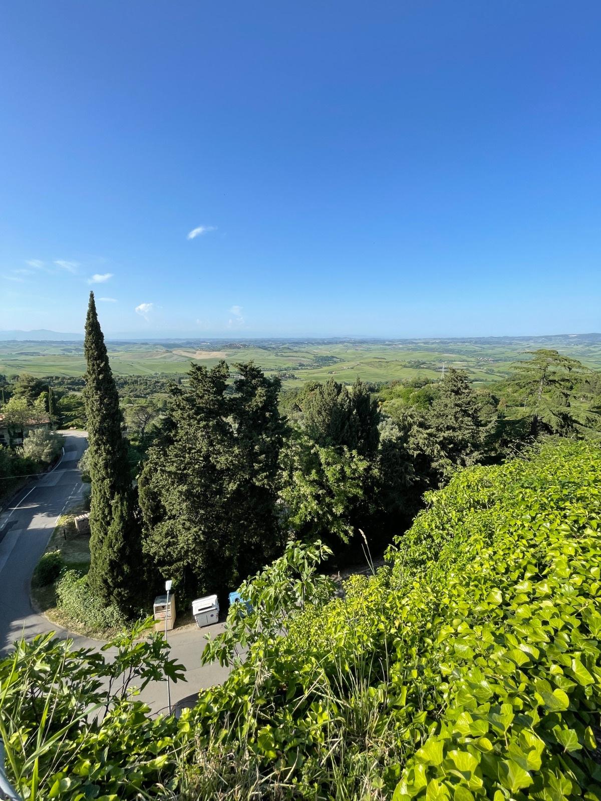 Immagine 11 di Terratetto in vendita  a Lajatico