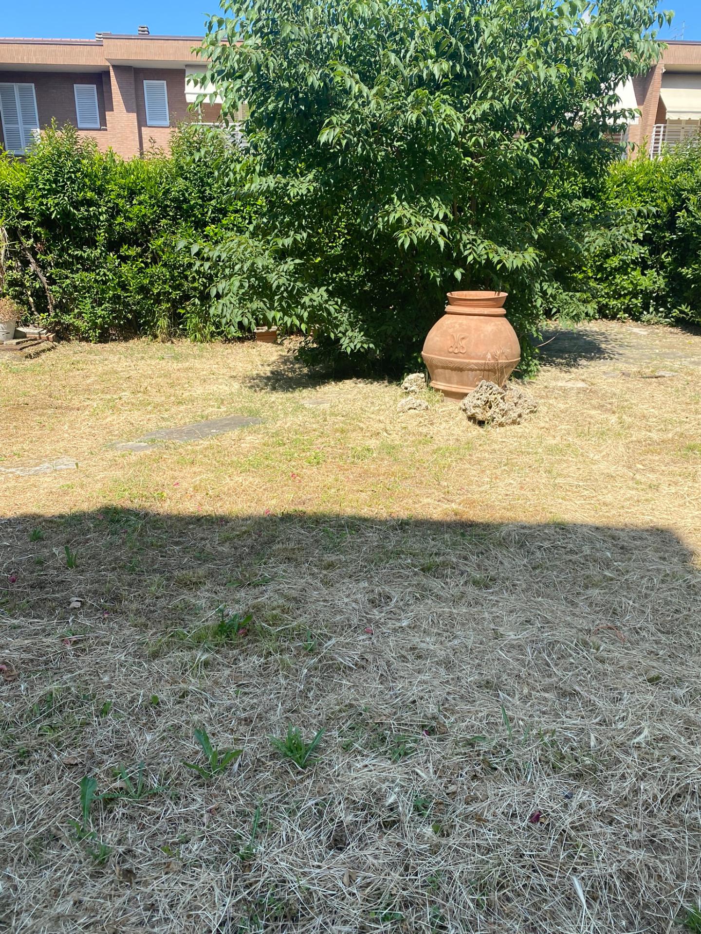 Foto annuncio 39