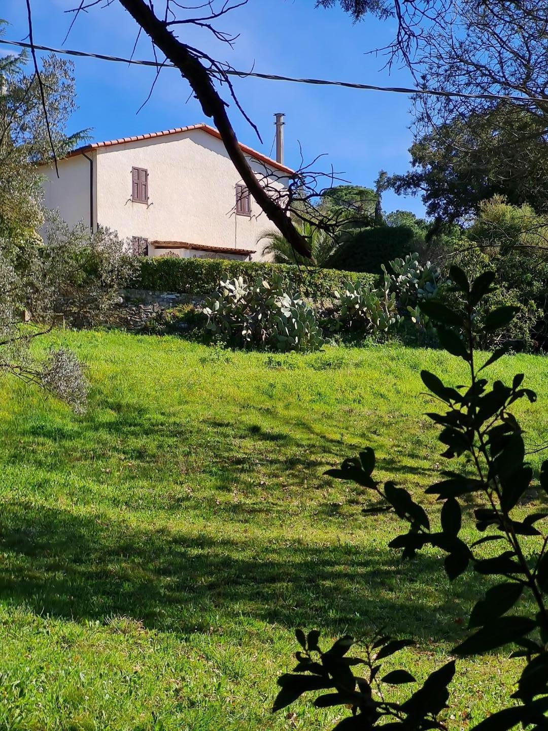 Foto annuncio 29
