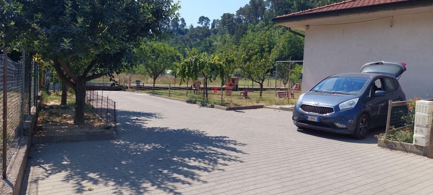 Foto annuncio 73