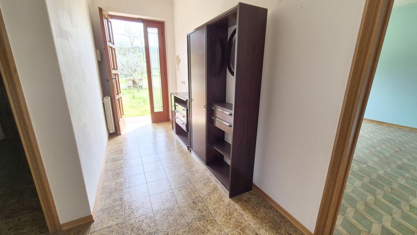 Foto annuncio 71