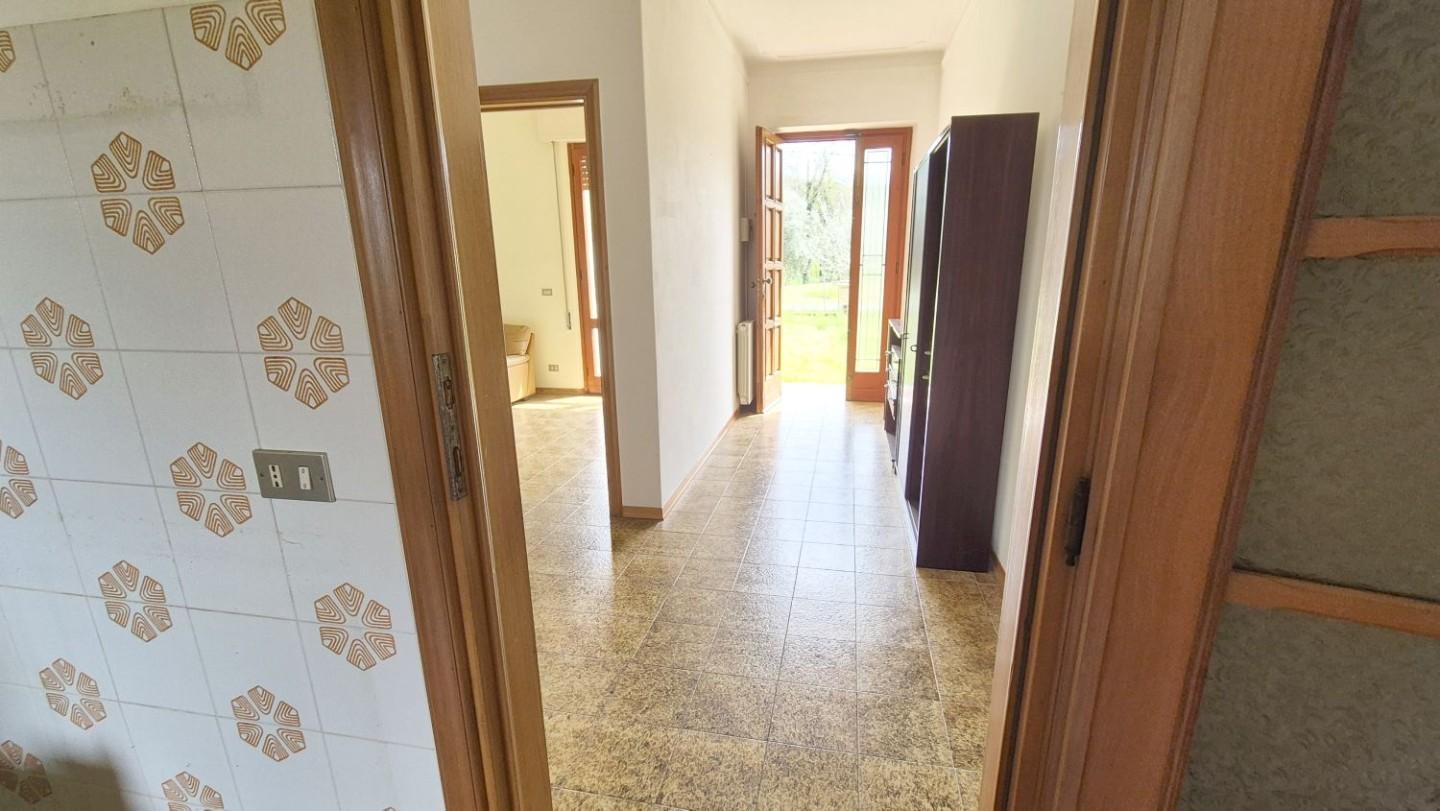 Foto annuncio 25