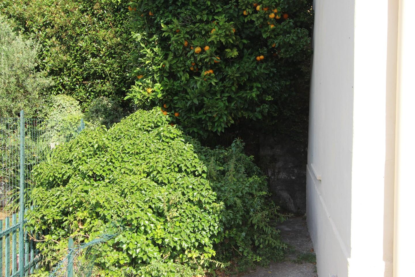 Immagine 50 di Casa indipendente in vendita  a Vezzano Ligure