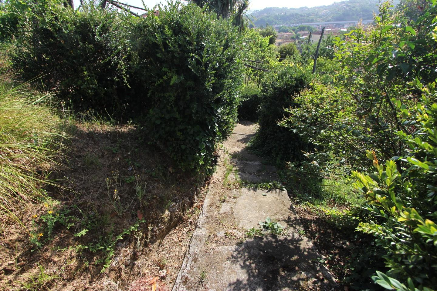 Immagine 2 di Casa indipendente in vendita  a Vezzano Ligure