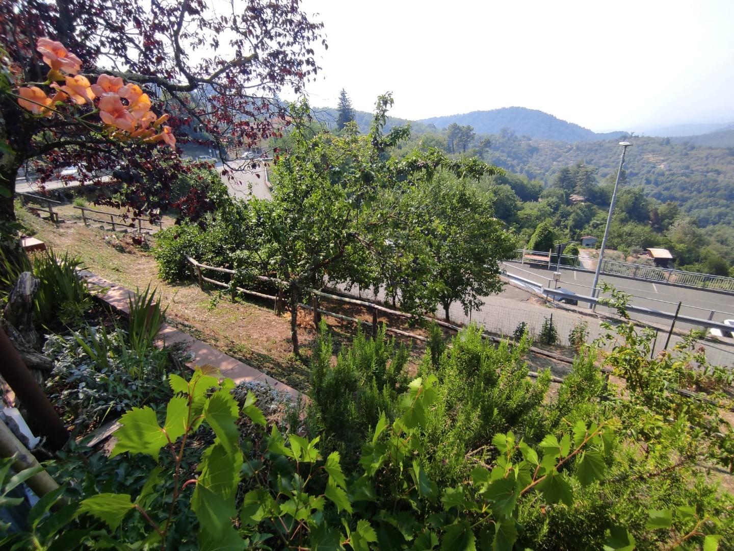 Immagine 12 di Casa semindipendente in vendita  a Fosdinovo