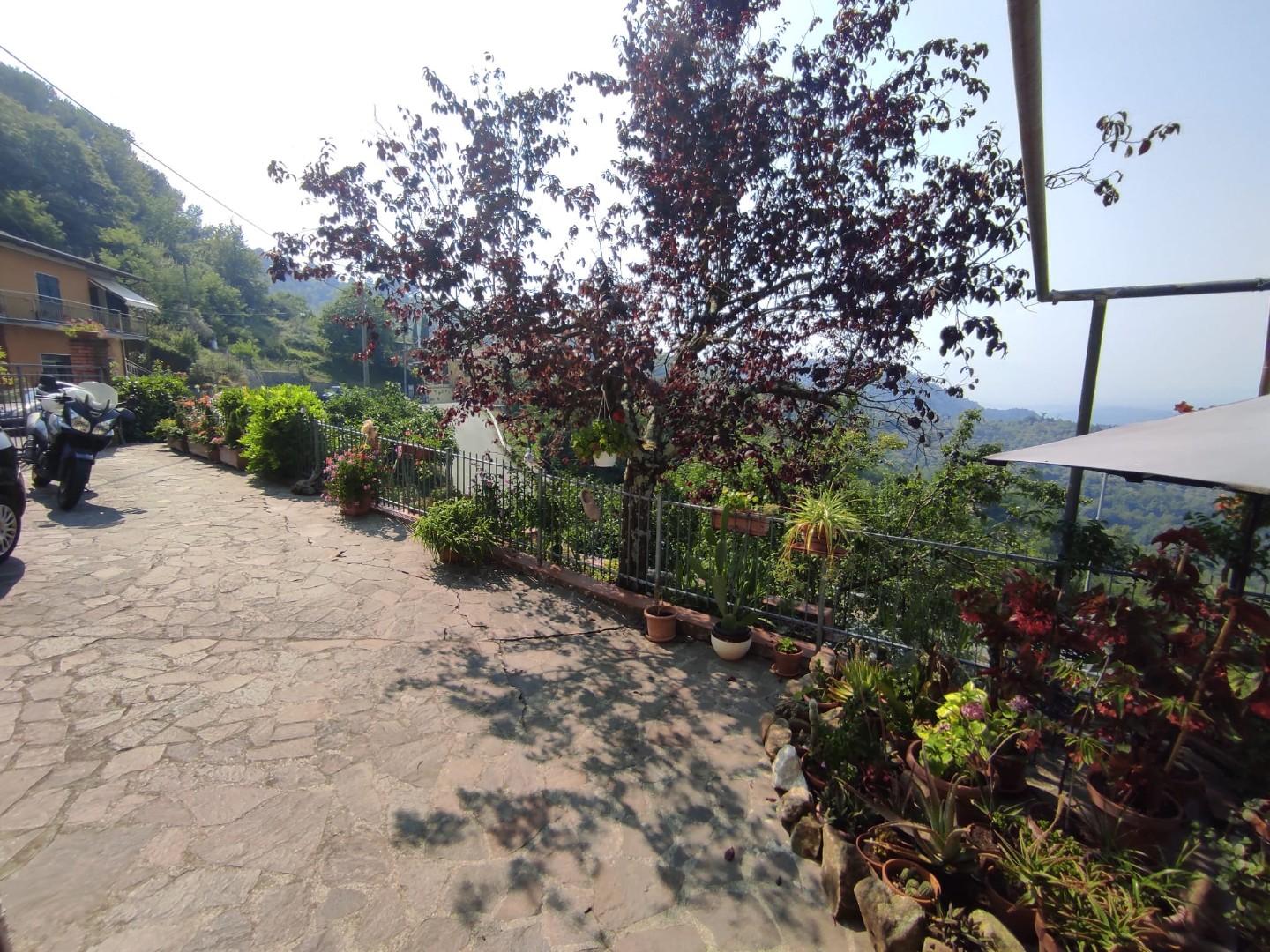 Immagine 22 di Casa semindipendente in vendita  a Fosdinovo