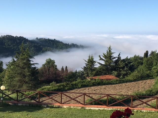 Foto annuncio 11