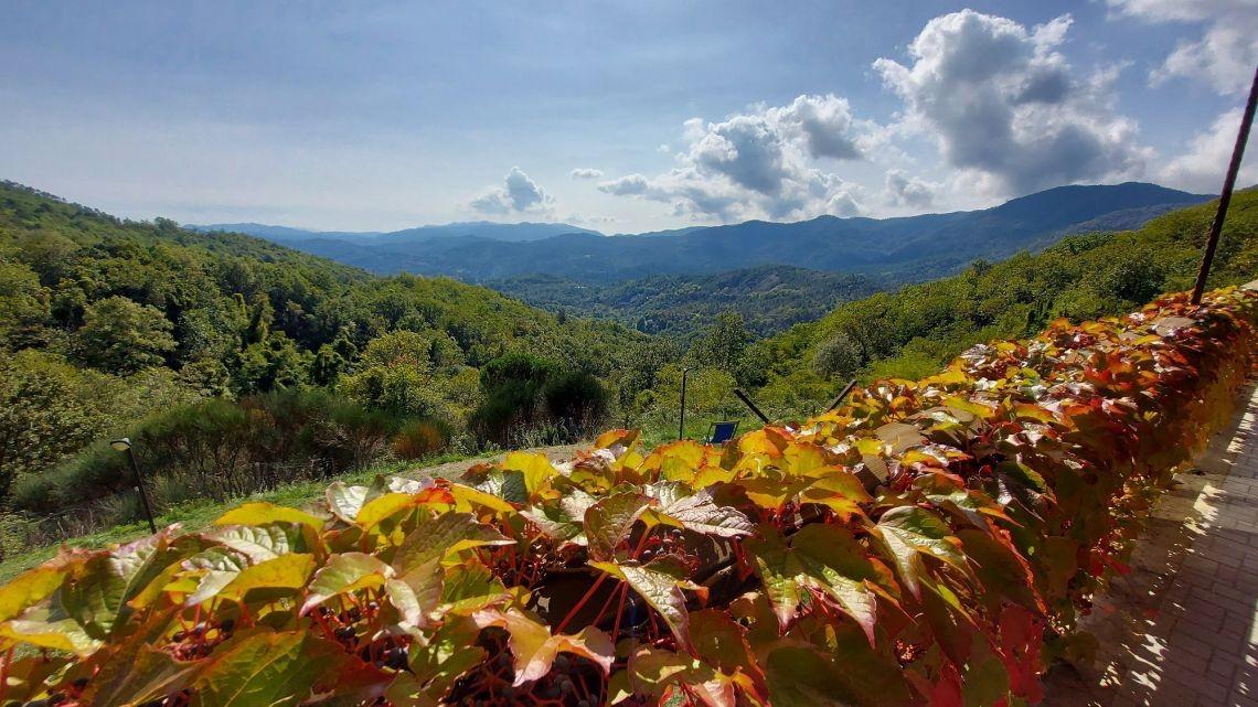 Immagine 23 di Villa in vendita  a Carro