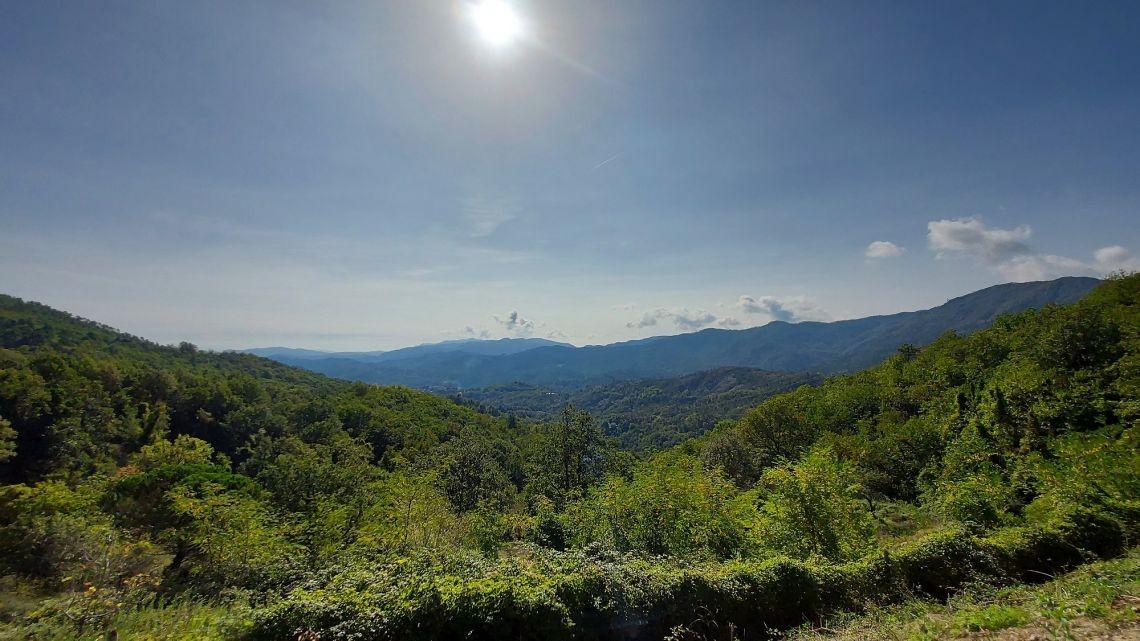 Immagine 3 di Villa in vendita  a Carro