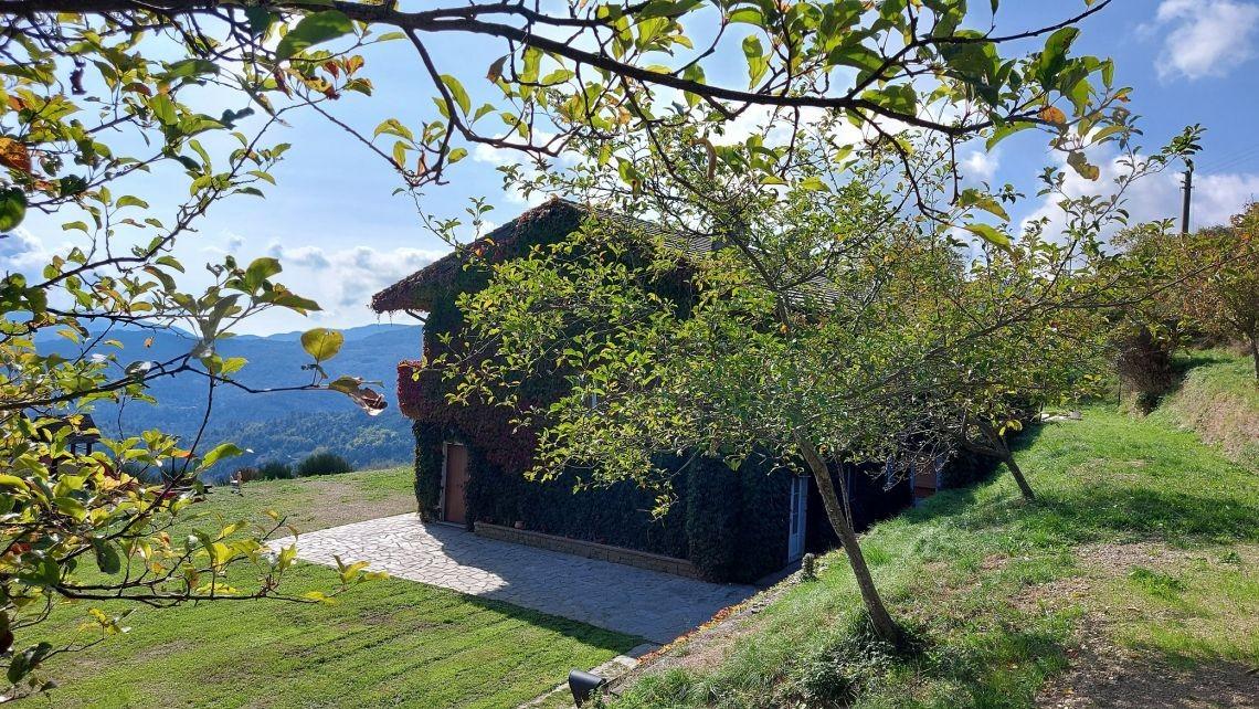 Immagine 44 di Villa in vendita  a Carro