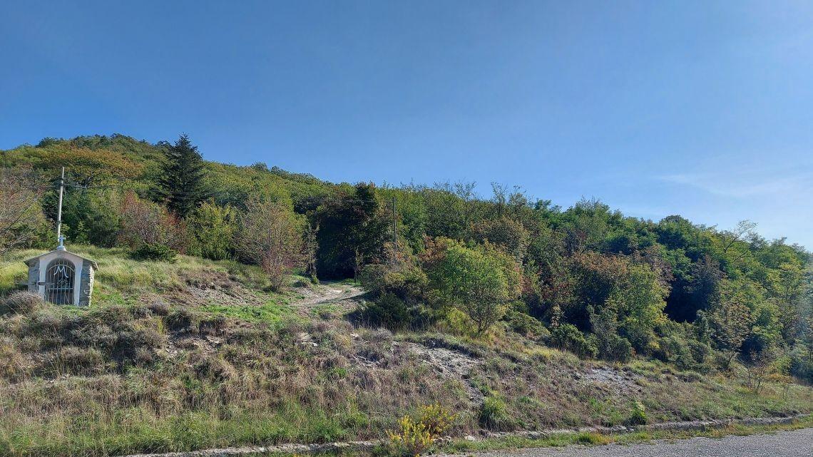 Immagine 48 di Villa in vendita  a Carro